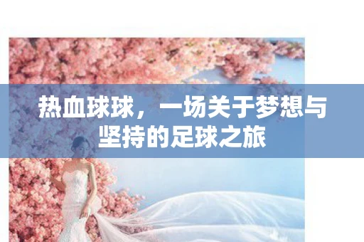 热血球球，一场关于梦想与坚持的足球之旅