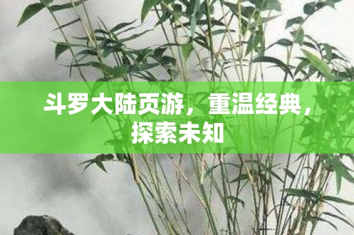 斗罗大陆页游，重温经典，探索未知