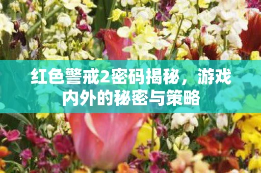 游戏内外的秘密与策略图片