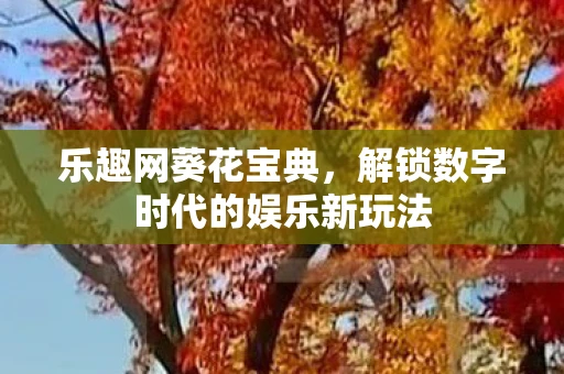乐趣网葵花宝典，解锁数字时代的娱乐新玩法