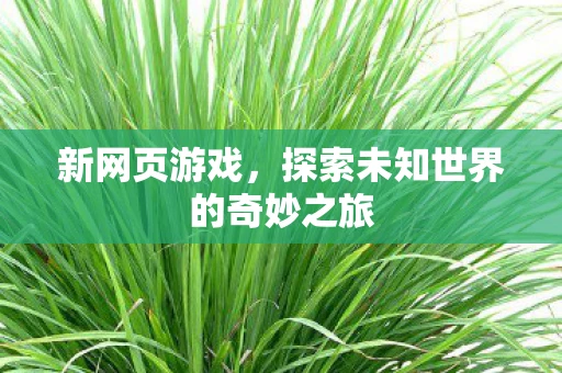 新网页游戏，探索未知世界的奇妙之旅