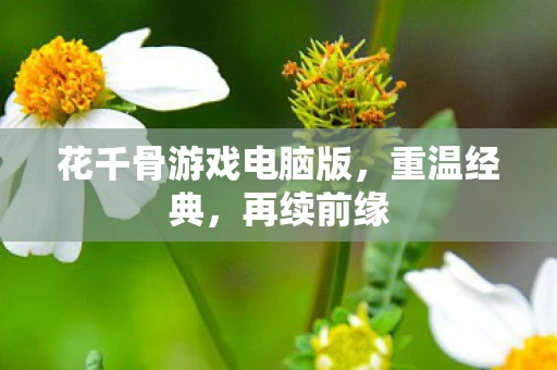 花千骨游戏电脑版，重温经典，再续前缘