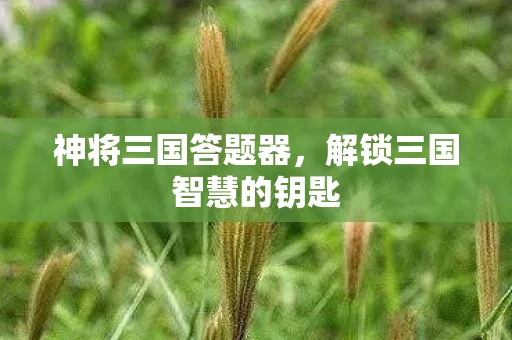 神将三国答题器，解锁三国智慧的钥匙