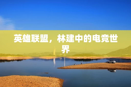 林建中的电竞世界图片