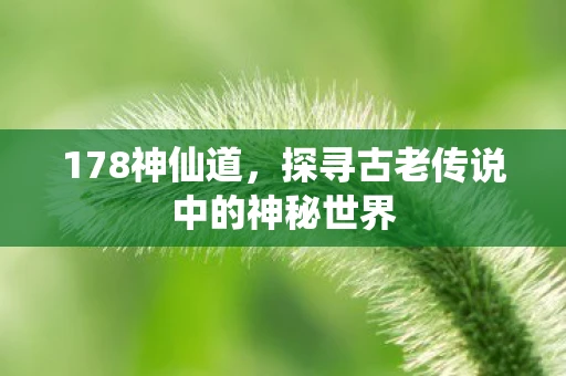 178神仙道，探寻古老传说中的神秘世界