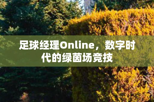 足球经理Online，数字时代的绿茵场竞技