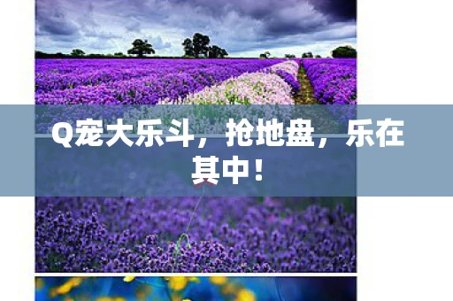 Q宠大乐斗，抢地盘，乐在其中！