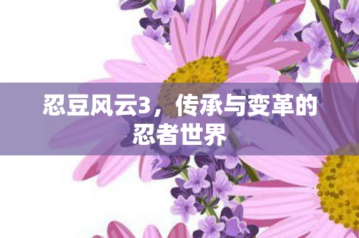 忍豆风云3，传承与变革的忍者世界