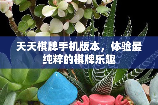 体验最纯粹的棋牌乐趣图片