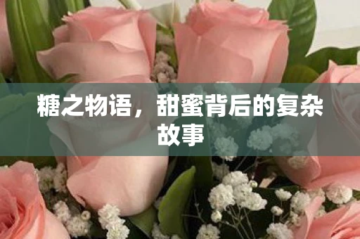 糖之物语，甜蜜背后的复杂故事