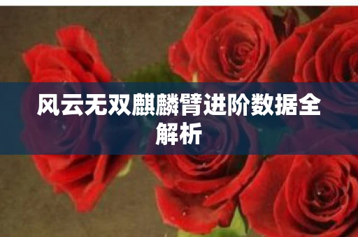 风云无双麒麟臂进阶数据全解析