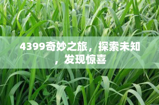 4399奇妙之旅，探索未知，发现惊喜