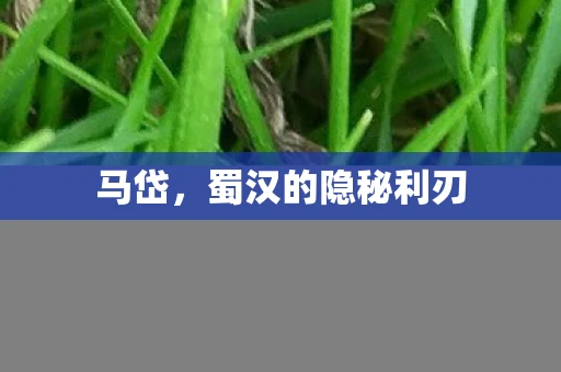 马岱，蜀汉的隐秘利刃