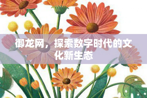 御龙网，探索数字时代的文化新生态