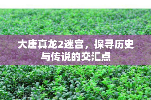 大唐真龙2迷宫，探寻历史与传说的交汇点