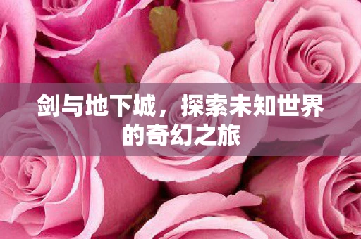 剑与地下城，探索未知世界的奇幻之旅