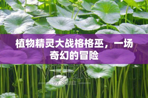 植物精灵大战格格巫，一场奇幻的冒险