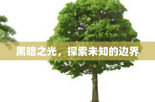 黑暗之光，探索未知的边界