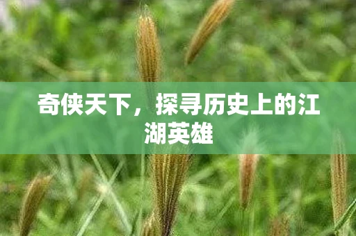 奇侠天下，探寻历史上的江湖英雄