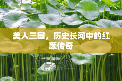 美人三国，历史长河中的红颜传奇