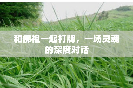 和佛祖一起打牌，一场灵魂的深度对话