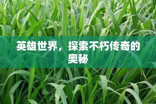 英雄世界，探索不朽传奇的奥秘