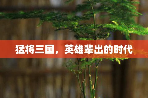 猛将三国，英雄辈出的时代