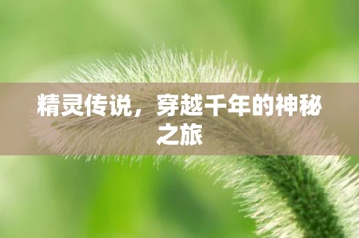 精灵传说，穿越千年的神秘之旅