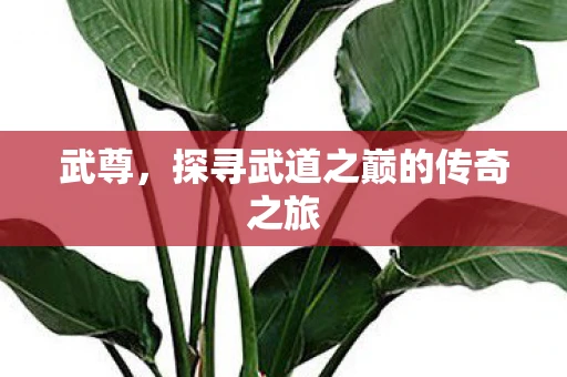 武尊，探寻武道之巅的传奇之旅