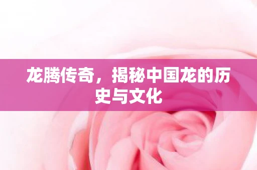 龙腾传奇，揭秘中国龙的历史与文化