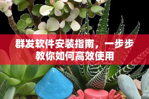 一步步教你如何高效使用图片