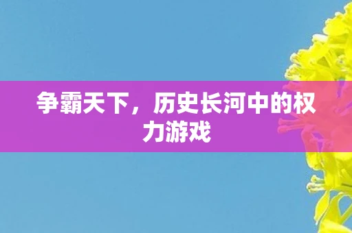 争霸天下，历史长河中的权力游戏
