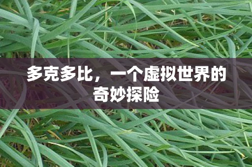 多克多比，一个虚拟世界的奇妙探险