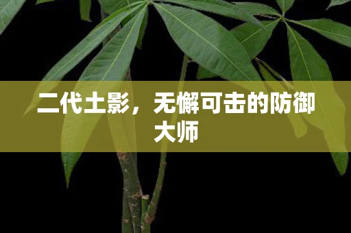 二代土影，无懈可击的防御大师