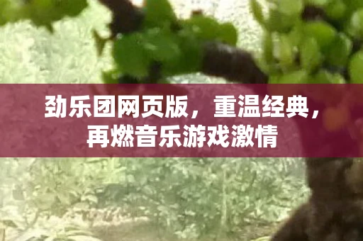 劲乐团网页版，重温经典，再燃音乐游戏激情