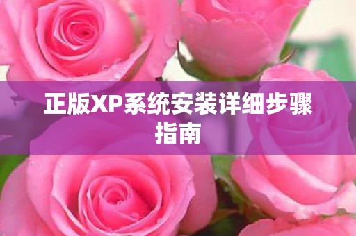 正版XP系统安装详细步骤指南图片