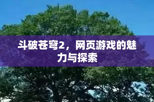 斗破苍穹2，网页游戏的魅力与探索