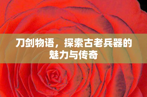 刀剑物语，探索古老兵器的魅力与传奇