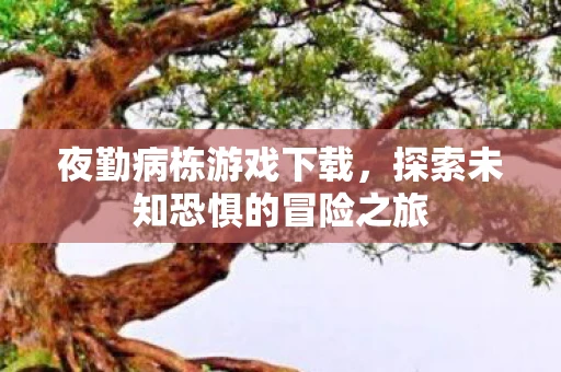 夜勤病栋游戏下载，探索未知恐惧的冒险之旅