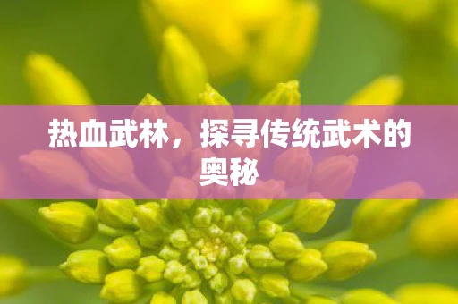 热血武林，探寻传统武术的奥秘