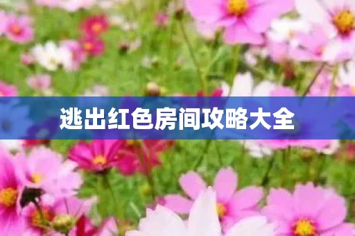 逃出红色房间攻略大全图片