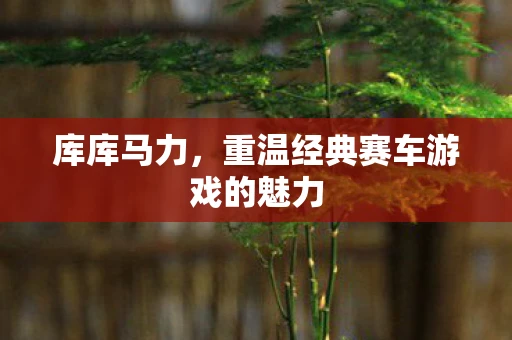 库库马力，重温经典赛车游戏的魅力