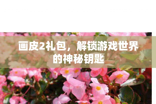 画皮2礼包，解锁游戏世界的神秘钥匙
