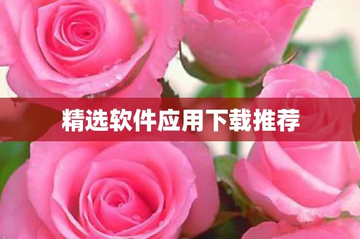 精选软件应用下载推荐图片