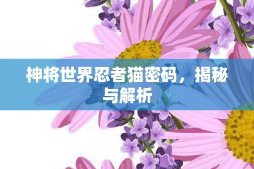 神将世界忍者猫密码，揭秘与解析