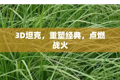 3D坦克，重塑经典，点燃战火