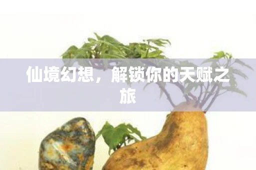 仙境幻想，解锁你的天赋之旅