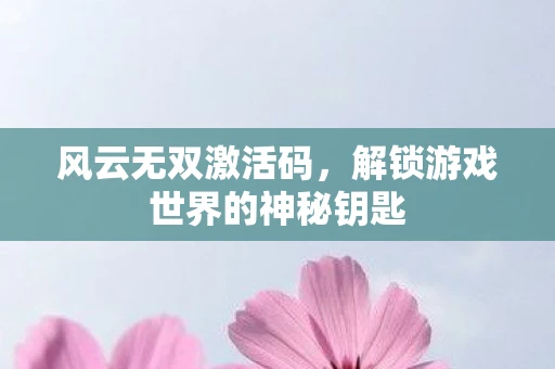 风云无双激活码，解锁游戏世界的神秘钥匙