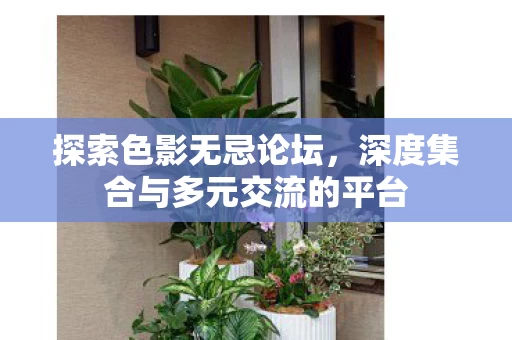 深度集合与多元交流的平台图片