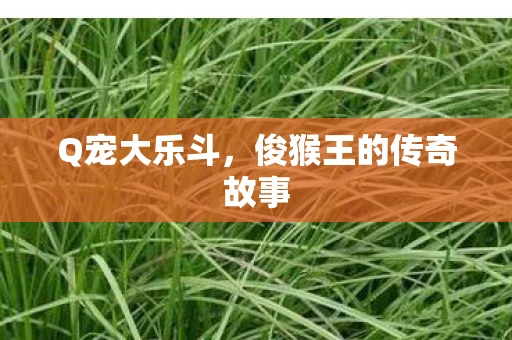 Q宠大乐斗，俊猴王的传奇故事